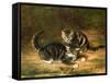 Kittens-Horatio Henry Couldery-Framed Stretched Canvas