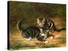 Kittens-Horatio Henry Couldery-Stretched Canvas