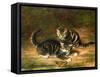 Kittens-Horatio Henry Couldery-Framed Stretched Canvas