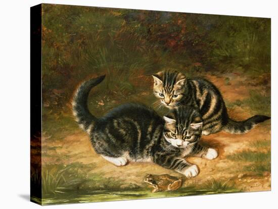 Kittens-Horatio Henry Couldery-Stretched Canvas
