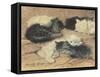 Kittens-Henriette Ronner-Knip-Framed Stretched Canvas