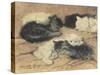 Kittens-Henriette Ronner-Knip-Stretched Canvas