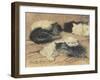 Kittens-Henriette Ronner-Knip-Framed Giclee Print