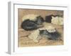 Kittens-Henriette Ronner-Knip-Framed Giclee Print