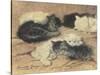 Kittens-Henriette Ronner-Knip-Stretched Canvas