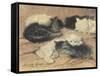 Kittens-Henriette Ronner-Knip-Framed Stretched Canvas