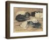 Kittens-Henriette Ronner-Knip-Framed Giclee Print