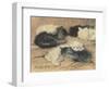 Kittens-Henriette Ronner-Knip-Framed Giclee Print