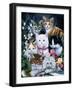 Kittens-Jenny Newland-Framed Giclee Print