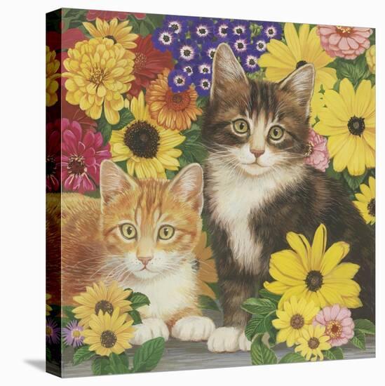 Kitties and Flowers-William Vanderdasson-Stretched Canvas