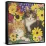 Kitties and Flowers-William Vanderdasson-Framed Stretched Canvas