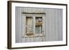 Kittiwake Gulls (Rissa Tridactyla) on an Abandoned House, Batsfjord Village Harbour, Norway-Staffan Widstrand-Framed Photographic Print