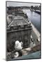 Kittiwake (Rissa Tridactyla) Female with Chick Nesting on Tyne Bridge, Newcastle, UK, June-Ann & Steve Toon-Mounted Photographic Print