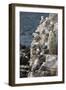 Kittiwakes Nesting on Cliff Ledges-James Emmerson-Framed Photographic Print