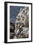 Kittiwakes Nesting on Cliff Ledges-James Emmerson-Framed Photographic Print