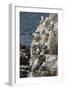 Kittiwakes Nesting on Cliff Ledges-James Emmerson-Framed Photographic Print