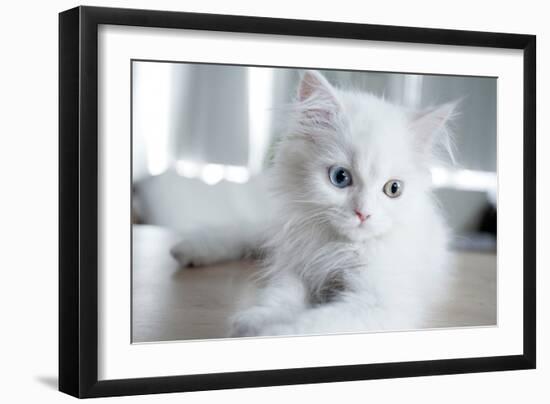 Kitty Blue-Cristina Carra Caso-Framed Photographic Print