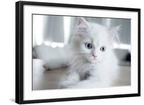 Kitty Blue-Cristina Carra Caso-Framed Photographic Print