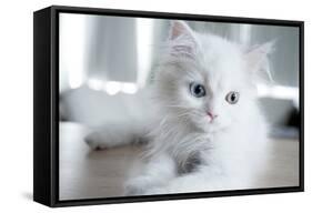 Kitty Blue-Cristina Carra Caso-Framed Stretched Canvas