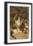 Kitty Cats-Vintage Apple Collection-Framed Giclee Print