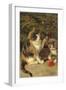 Kitty Cats-Vintage Apple Collection-Framed Giclee Print