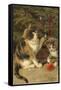 Kitty Cats-Vintage Apple Collection-Framed Stretched Canvas