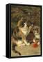 Kitty Cats-Vintage Apple Collection-Framed Stretched Canvas