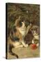 Kitty Cats-Vintage Apple Collection-Stretched Canvas