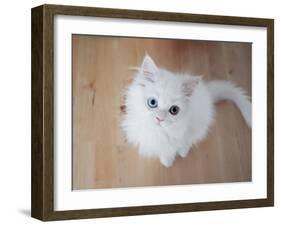 Kitty II-Cristina Carra Caso-Framed Photographic Print