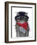 Kitty in a hat-Karrie Evenson-Framed Art Print