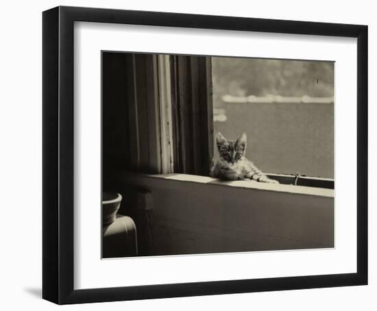 Kitty in the Window-Jim Holmes-Framed Art Print