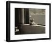 Kitty in the Window-Jim Holmes-Framed Art Print