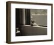 Kitty in the Window-Jim Holmes-Framed Art Print