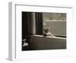 Kitty in the Window-Jim Holmes-Framed Art Print