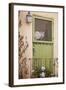 Kitty in the Window-Karyn Millet-Framed Photographic Print