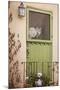 Kitty in the Window-Karyn Millet-Mounted Photographic Print