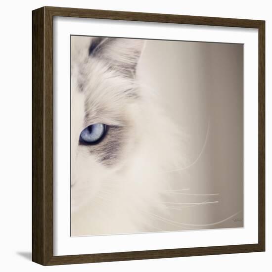 Kitty Kitty-Barbara Simmons-Framed Photographic Print