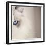 Kitty Kitty-Barbara Simmons-Framed Photographic Print