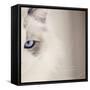 Kitty Kitty-Barbara Simmons-Framed Stretched Canvas