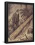 Essential Black