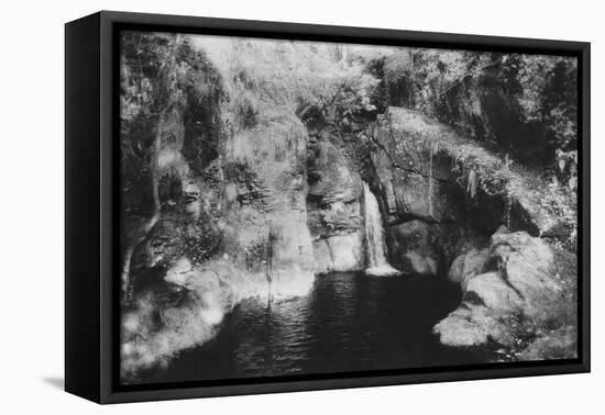 Kitty's Steps, Lydford Gorge, Devon, England-Simon Marsden-Framed Stretched Canvas