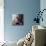 Kitty Throne-Lucia Heffernan-Mounted Art Print displayed on a wall