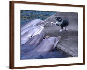 Kittykitty-Ata Alishahi-Framed Giclee Print