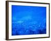 Kitzbuhel, Austria-Walter Bibikow-Framed Photographic Print