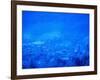 Kitzbuhel, Austria-Walter Bibikow-Framed Photographic Print