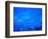 Kitzbuhel, Austria-Walter Bibikow-Framed Photographic Print