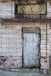 Grunge Brick Wall with Old Door-KitzCorner-Mounted Photographic Print