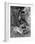 Kiwai Child, Living at the Entrance to the Fly River, New Guinea, 1922-WN Beaver-Framed Giclee Print