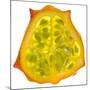 Kiwano Horned Melon Slice-Steve Gadomski-Mounted Photographic Print