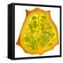 Kiwano Horned Melon Slice-Steve Gadomski-Framed Stretched Canvas